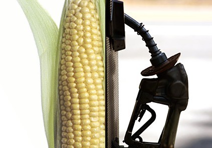 The Relationship Of Ethanol Production To The Price Of Food